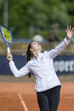 Bild 141 - BL DTV Hannover - BW Dresden Blasewitz : Ergebnis: 2:7